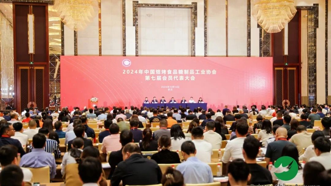 20241016-1.jpg 20241016-1.jpg